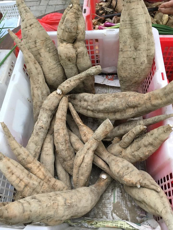 粉葛 每一斤 Chinese Arrowroot 600g