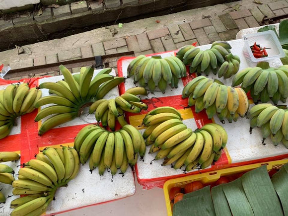大蕉 約一斤Plantain 600g
