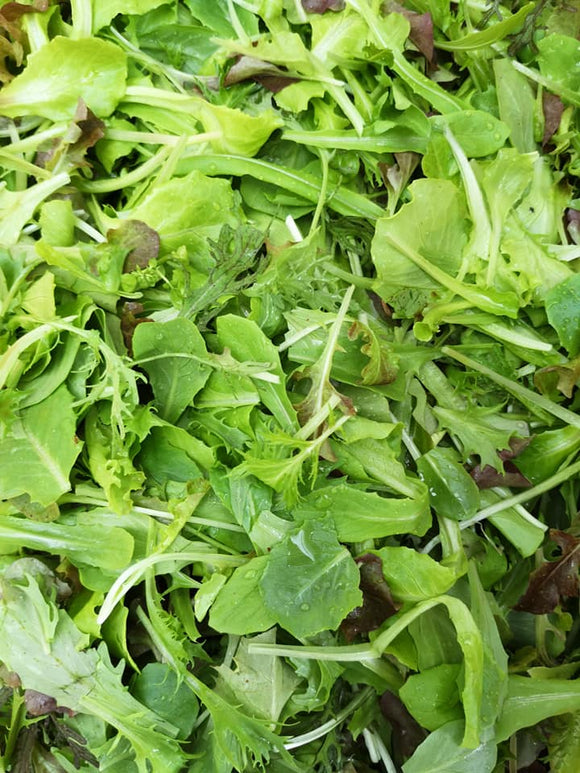 2款菜Package✨羽衣甘藍4両一份 + 什沙律生菜4両一份 Kale 150g + Mix Salad Green 150g