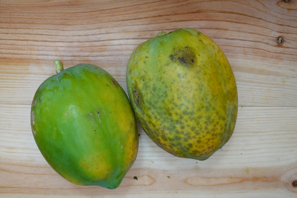 半生熟木瓜 一斤 Unripe Papaya 600g