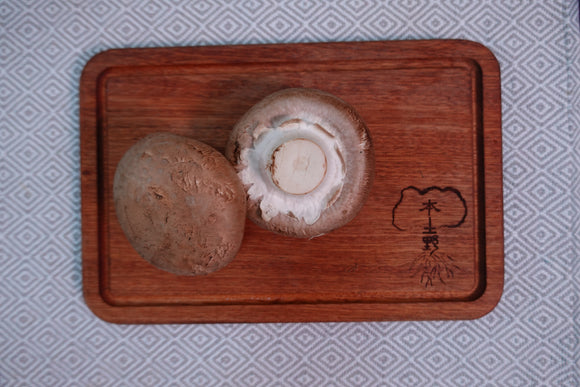 大啡菇 每粒 Portobello mushroom per piece
