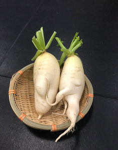 白蘿蔔 1斤 White Radish 600g