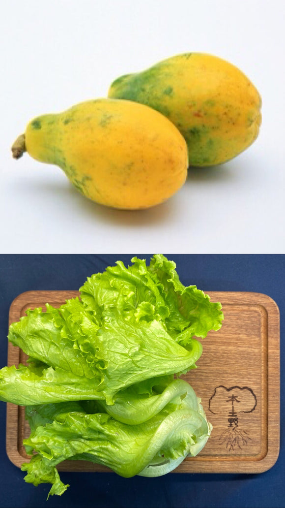 2款菜Package✨ 樹上熟木瓜 約一斤一個+意大利生菜 一斤Papaya per 600g+ Romanine Lettuce 600g