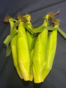 白龍王粟米 一支 an ear of white corn