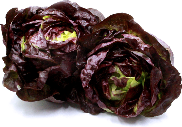 紅牛油生菜1斤 red butterhead lettuce  600g