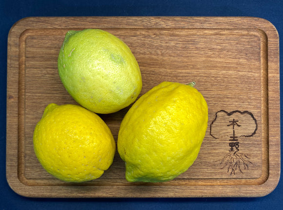 檸檬🍋 1斤 Lemon 600g