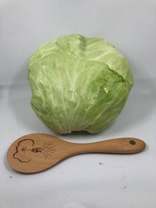 椰菜 1個約1.5斤重，原個賣 Cabbage about 900g per head